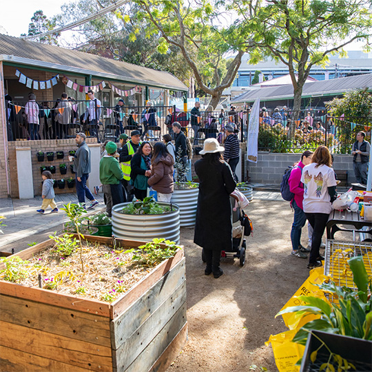 A small festive event in an urban courtyard. People are standing and walking amongst planter boxes with small plants inside.